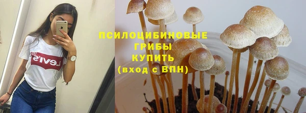 a pvp Кодинск