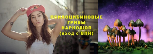 mix Козловка