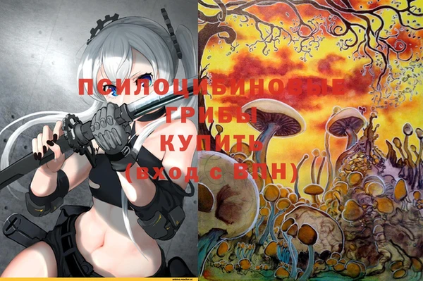 mdma Козельск