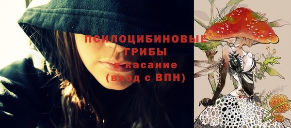 mix Козловка