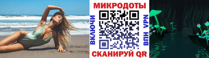 Псилоцибиновые грибы Psilocybe  Купить  Чадан 
